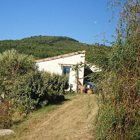 Maison De Campagne L'Etang Seillans Ngoại thất bức ảnh